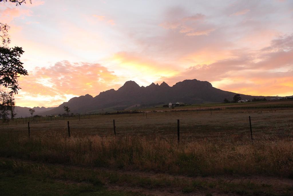 Rosenview Guest House Stellenbosch Eksteriør billede