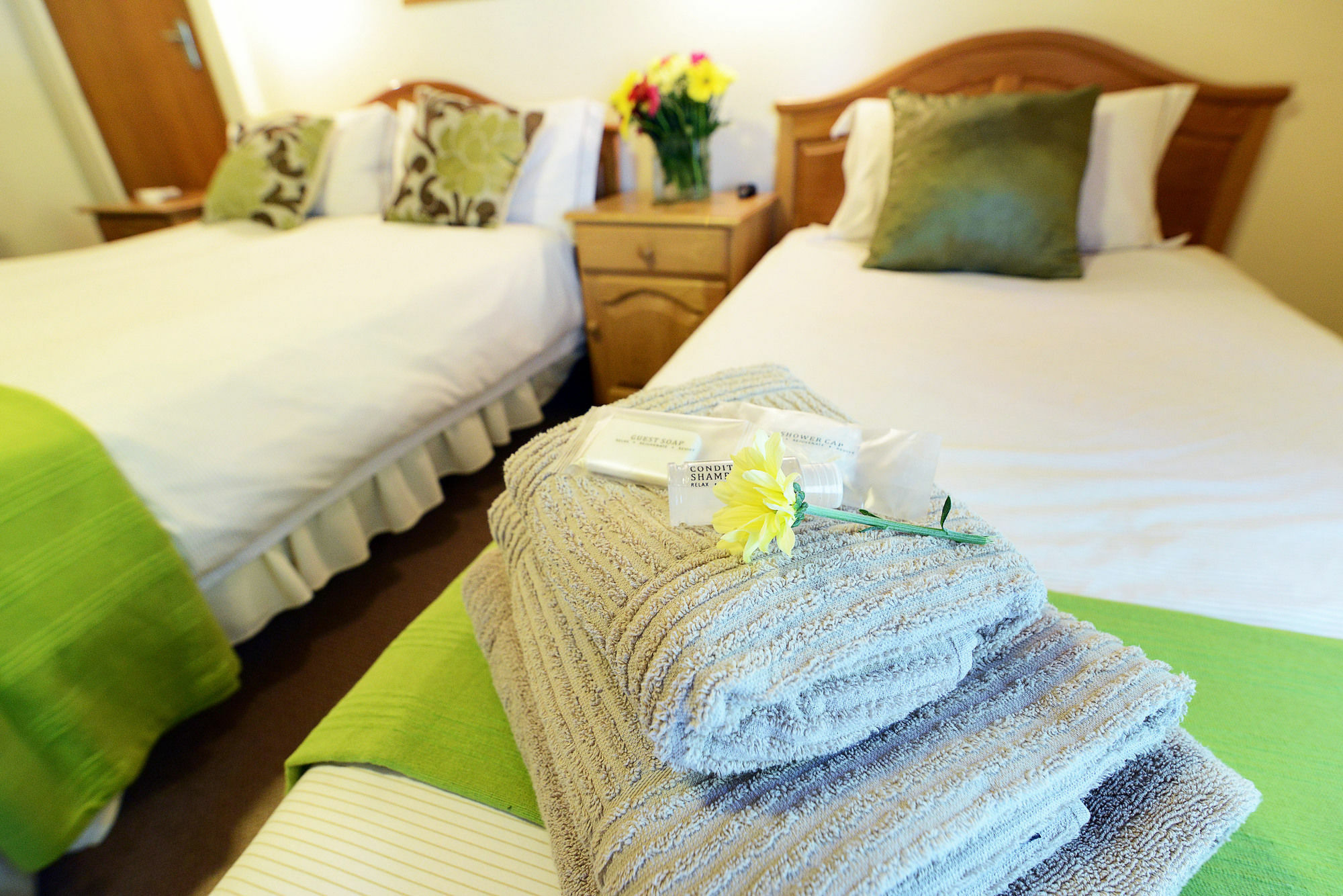 Rosenview Guest House Stellenbosch Eksteriør billede